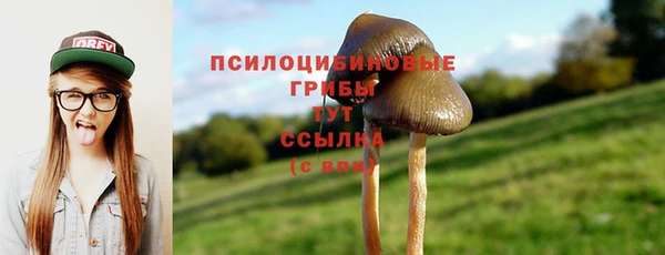 таблы Алексеевка
